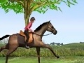 Игра Horse Jumping