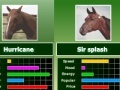 Игра Horse bet racing