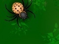 Игра Spiders attack 