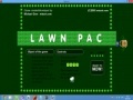 Игра Lawn Pack