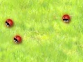 Игра Color Bugs