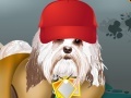 Игра Havanese Dog