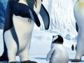 Игра Hidden Numbers Happy Feet Two