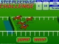 Игра Steeplechase Challenge