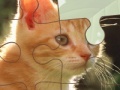 Игра Simple puzzle with animal