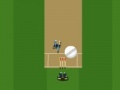 Игра Cricket Master Blaster