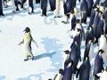 Игра Happy Feet Find the Alphabets