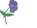 Игра Bee Believes Flowers