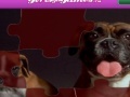 Игра Jigsaw world puppies