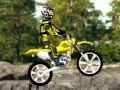 Игра Dirt Bike 2