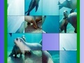 Игра Ocean and seals slide puzzle