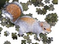 Игра Jigsaw: Posing Squirrel