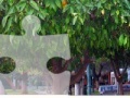 Игра Orange Tree Jigsaw Puzzle 