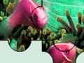 Игра Colorful sea fishes puzzle