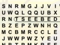Игра Safari Word Search