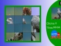 Игра Japanese Sparrowhawk slide puzzle