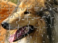Игра Pet Puzzles: Dogs