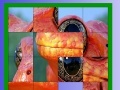 Ігра Orange frog slide puzzle