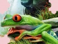Игра Puzzle Frog