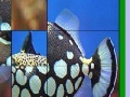 Ігра Fish Slide Puzzle 