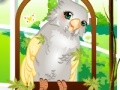 Игра Cute parrot dress up