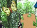Игра 3D Real Puzzle butterfly