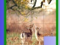 Игра Two Deer Slide Puzzle