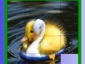 Ігра Cute Chicks Slide Puzzle