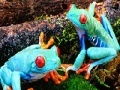Игра Blue frogs slide puzzle