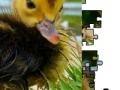 Игра Jigsaw: Little Duckling 