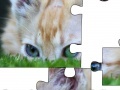 Игра Jigsaw: Cat Hiding