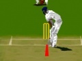 Игра Virtual cricket