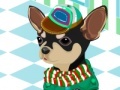 Игра Pick up the suit for Chihuahua