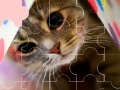 Игра Cat really cute 3 puzzle