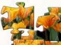 Игра Tulip 2 jigsaw puzzle 