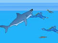 Игра Shark Bait