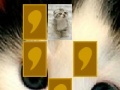 Игра Cute cat memory