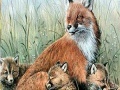 Игра Fox family in the nature puzzle
