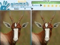 Игра Gimme 5 Wildlife