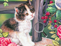 Игра Hidden Numbers Cat