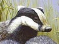 Игра Three polecat puzzle