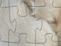Игра Puppies jigsaw