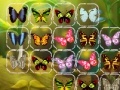 Игра Batterfly Connect