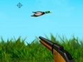 Игра The duck hunter