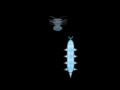 Игра Cyber Worm 