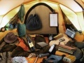 Игра Family camping