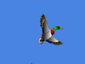 Игра I just seen a duck 