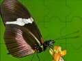Игра Fantastic butterfly puzzle