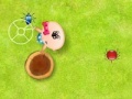 Игра Catch the Insects