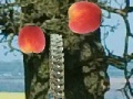 Игра Applecatcher